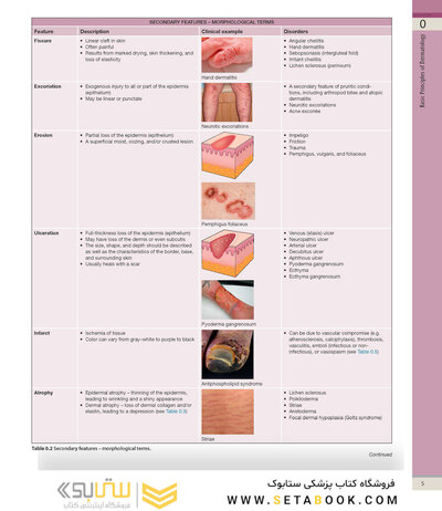 Dermatology, 5th Edition 2025