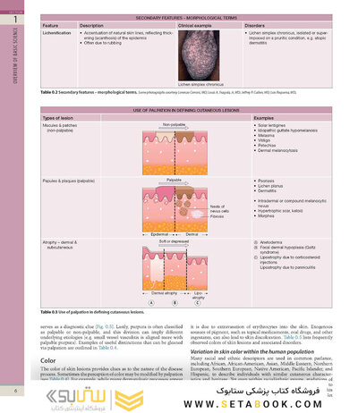 Dermatology, 5th Edition 2025