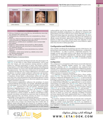 Dermatology, 5th Edition 2025