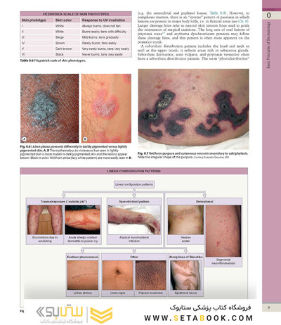 Dermatology, 5th Edition 2025