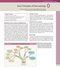 Dermatology, 5th Edition 2025