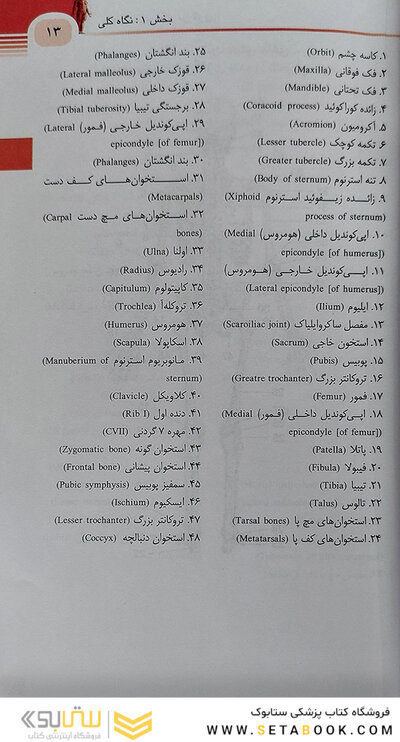 اطلس جیبی آناتومی گری 2024 برای دانشجویان