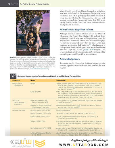 Fanaroff and Martin's Neonatal-Perinatal Medicine, 2-Volume Set: Diseases of the Fetus and Infant 12th Edition 2025