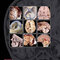 Osborn's Brain 3rd Edition