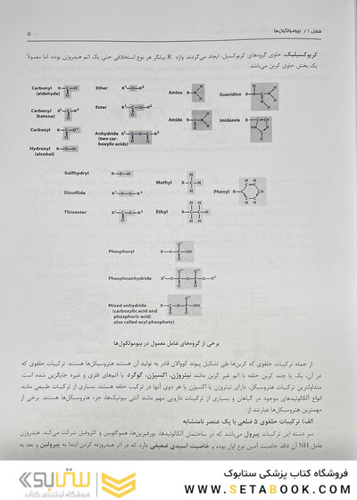 بیوشیمی از لنینجر تا استرایر جلد اول
