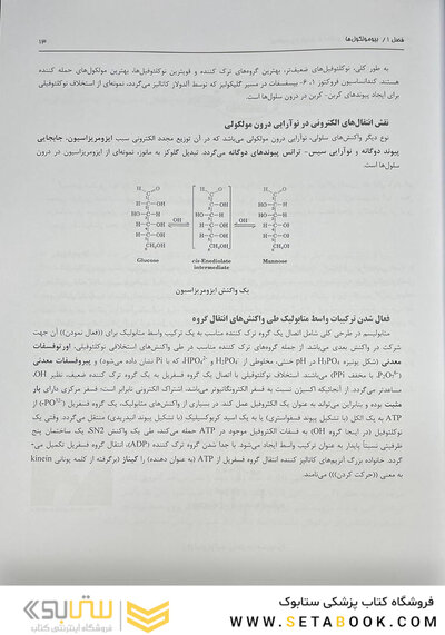 بیوشیمی از لنینجر تا استرایر جلد اول