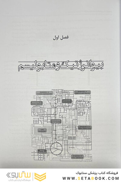 بیوشیمی از لنینجر تا استرایر جلد دوم