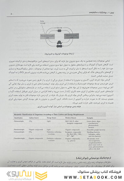 بیوشیمی از لنینجر تا استرایر جلد دوم