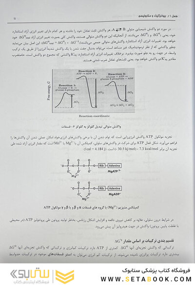 بیوشیمی از لنینجر تا استرایر جلد دوم