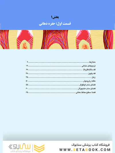 تصویربرداری تشخیصی از دهان، فک و صورت