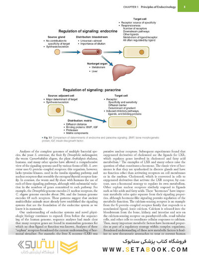 Williams Textbook of Endocrinology 15th Edition 2024