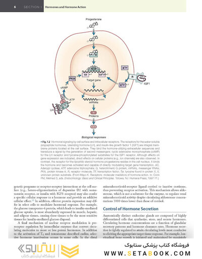 Williams Textbook of Endocrinology 15th Edition 2024