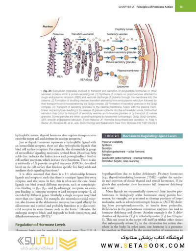 Williams Textbook of Endocrinology 15th Edition 2024