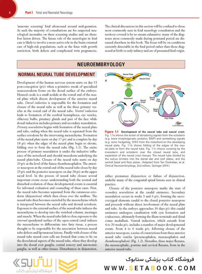 Aicardi’s Diseases of the Nervous System in Childhood , 4th Edition 2018
