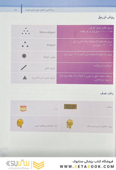 راهنمای گام به گام استفاده از ژل های تزریقی به روش MD-Codes – جلد دوم (رمزگشایی کد های جوان سازی صورت)