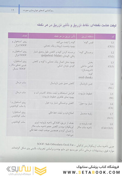 راهنمای گام به گام استفاده از ژل های تزریقی به روش MD-Codes – جلد دوم (رمزگشایی کد های جوان سازی صورت)