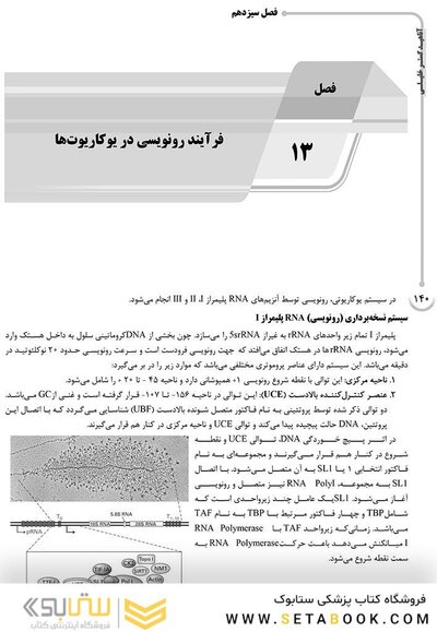 AGK درسنامه سلولی و مولکولی (علوم آزمایشگاهی 3)