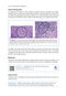 2024-2025 Basic and Clinical Science Course, Section 4: Ophthalmic Pathology and Intraocular Tumors