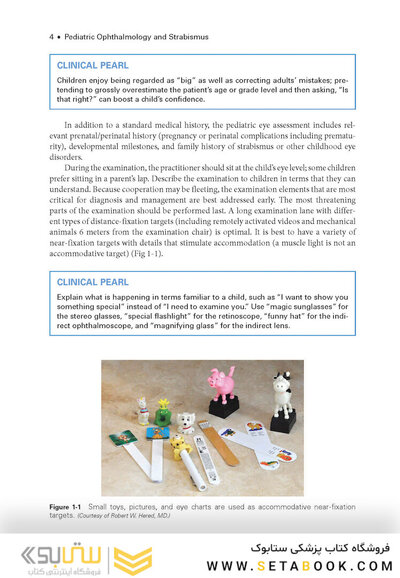2024-2025 Basic and Clinical Science Course, Section 6: Pediatric Ophthalmology and Strabismus
