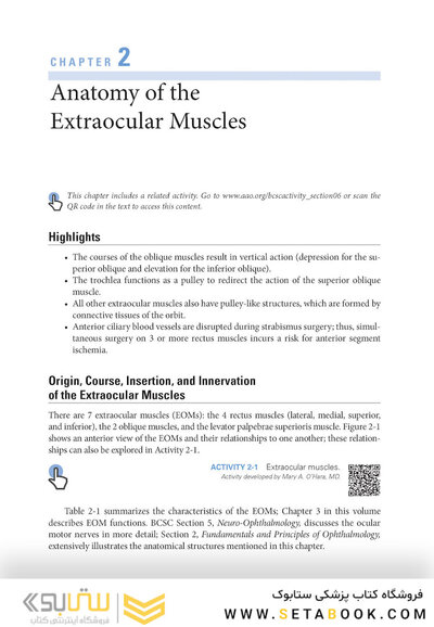 2024-2025 Basic and Clinical Science Course, Section 6: Pediatric Ophthalmology and Strabismus