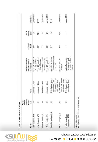 2024-2025 Basic and Clinical Science Course, Section 6: Pediatric Ophthalmology and Strabismus