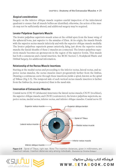 2024-2025 Basic and Clinical Science Course, Section 6: Pediatric Ophthalmology and Strabismus