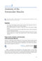 2024-2025 Basic and Clinical Science Course, Section 6: Pediatric Ophthalmology and Strabismus