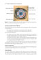 2024-2025 Basic and Clinical Science Course, Section 6: Pediatric Ophthalmology and Strabismus