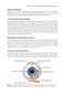2024-2025 Basic and Clinical Science Course, Section 6: Pediatric Ophthalmology and Strabismus