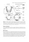 2024-2025 Basic and Clinical Science Course, Section 6: Pediatric Ophthalmology and Strabismus