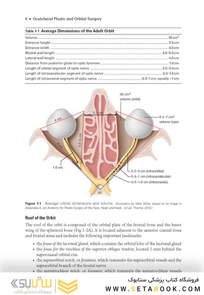 2024-2025 Basic and Clinical Science Course, Section 7: Oculofacial Plastic and Orbital Surgery