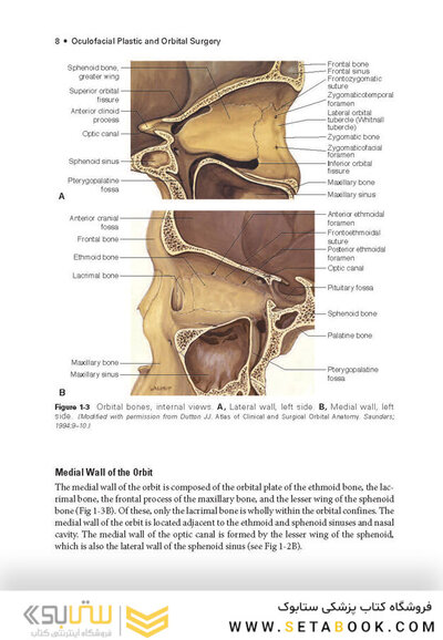 2024-2025 Basic and Clinical Science Course, Section 7: Oculofacial Plastic and Orbital Surgery