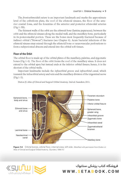 2024-2025 Basic and Clinical Science Course, Section 7: Oculofacial Plastic and Orbital Surgery