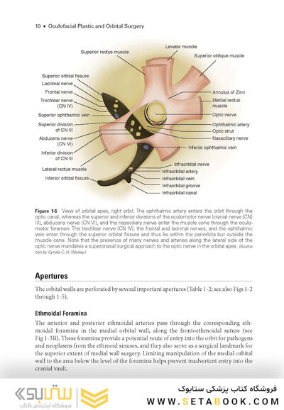 2024-2025 Basic and Clinical Science Course, Section 7: Oculofacial Plastic and Orbital Surgery