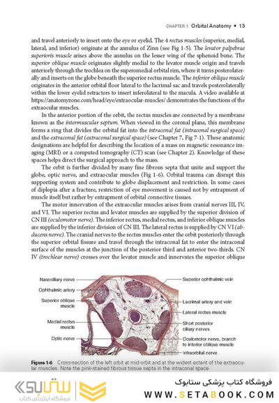 2024-2025 Basic and Clinical Science Course, Section 7: Oculofacial Plastic and Orbital Surgery