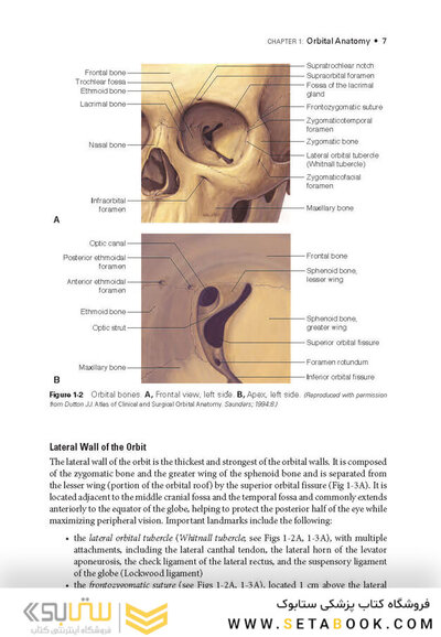2024-2025 Basic and Clinical Science Course, Section 7: Oculofacial Plastic and Orbital Surgery