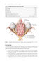 2024-2025 Basic and Clinical Science Course, Section 7: Oculofacial Plastic and Orbital Surgery