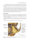 2024-2025 Basic and Clinical Science Course, Section 7: Oculofacial Plastic and Orbital Surgery