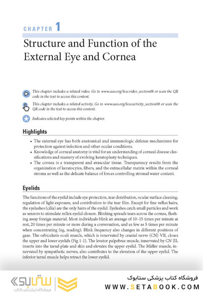 2024-2025 Basic and Clinical Science Course, Section 8: External Disease and Cornea