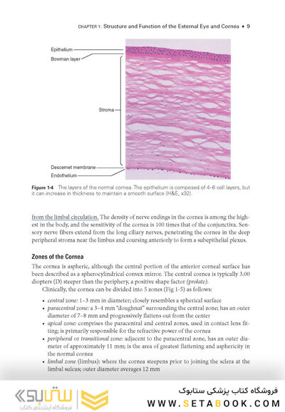 2024-2025 Basic and Clinical Science Course, Section 8: External Disease and Cornea