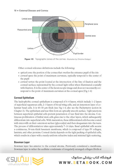 2024-2025 Basic and Clinical Science Course, Section 8: External Disease and Cornea