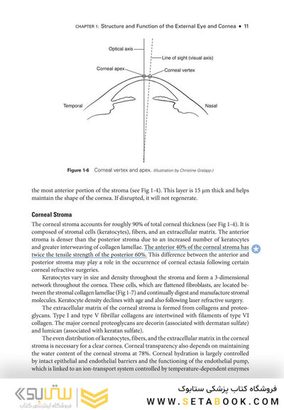 2024-2025 Basic and Clinical Science Course, Section 8: External Disease and Cornea