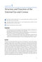 2024-2025 Basic and Clinical Science Course, Section 8: External Disease and Cornea