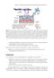 2024-2025 Basic and Clinical Science Course, Section 8: External Disease and Cornea