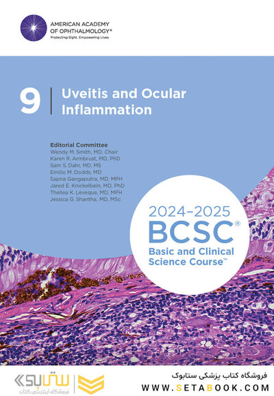 2024-2025 Basic and Clinical Science Course, Section 9: Uveitis and Ocular Inflammation