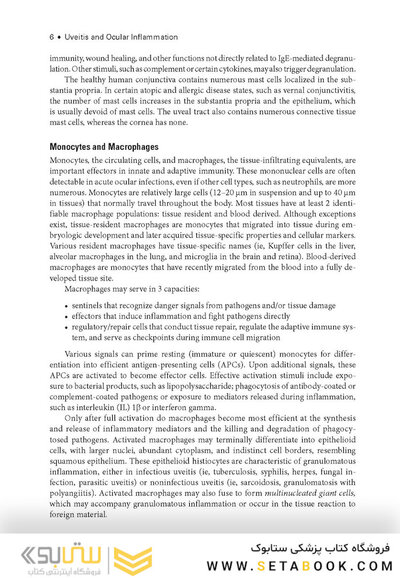 2024-2025 Basic and Clinical Science Course, Section 9: Uveitis and Ocular Inflammation