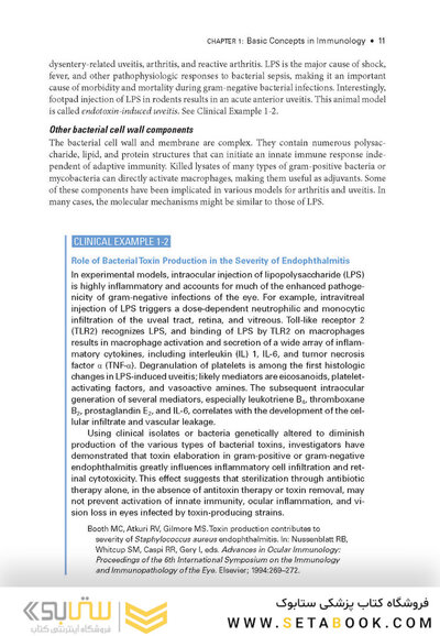 2024-2025 Basic and Clinical Science Course, Section 9: Uveitis and Ocular Inflammation