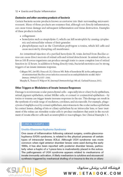 2024-2025 Basic and Clinical Science Course, Section 9: Uveitis and Ocular Inflammation