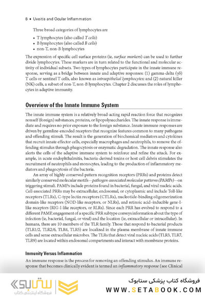 2024-2025 Basic and Clinical Science Course, Section 9: Uveitis and Ocular Inflammation