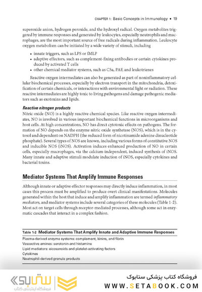 2024-2025 Basic and Clinical Science Course, Section 9: Uveitis and Ocular Inflammation